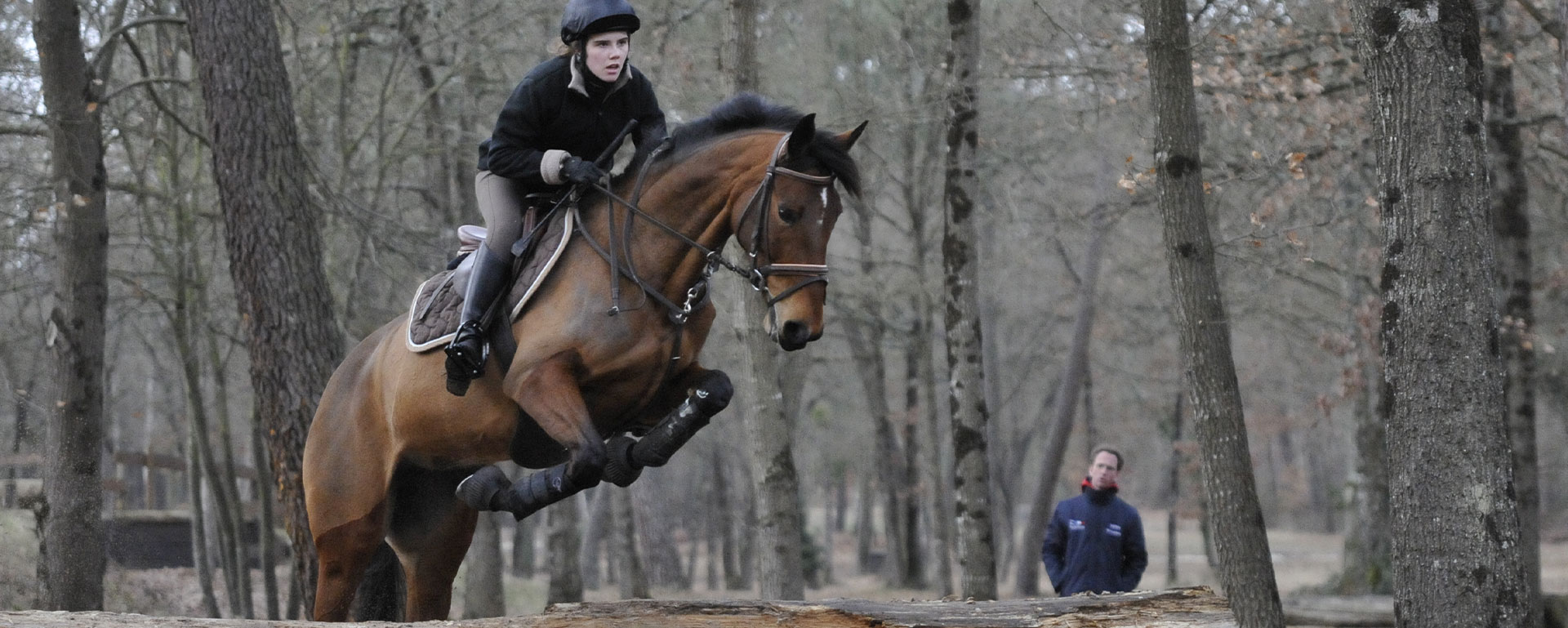 Écurie et pension pour chevaux à Tiercé : LA MAISON NEUVE 